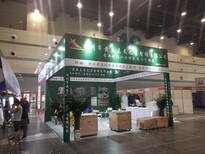 展會(huì)服務(wù)之選 鄭州展臺(tái)搭建與會(huì)議空間布置全攻略
