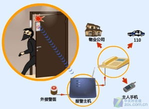 2010年家用監控攝像頭與網絡設備零售市場分析