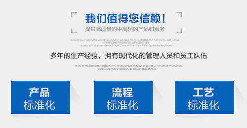 工廠直銷自動實心丸子機肉丸魚丸生產線 穩定高效，現貨供應