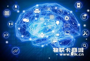 兼具互動性與實用性 物聯網數字營銷賦能網絡設備銷售的全景相例